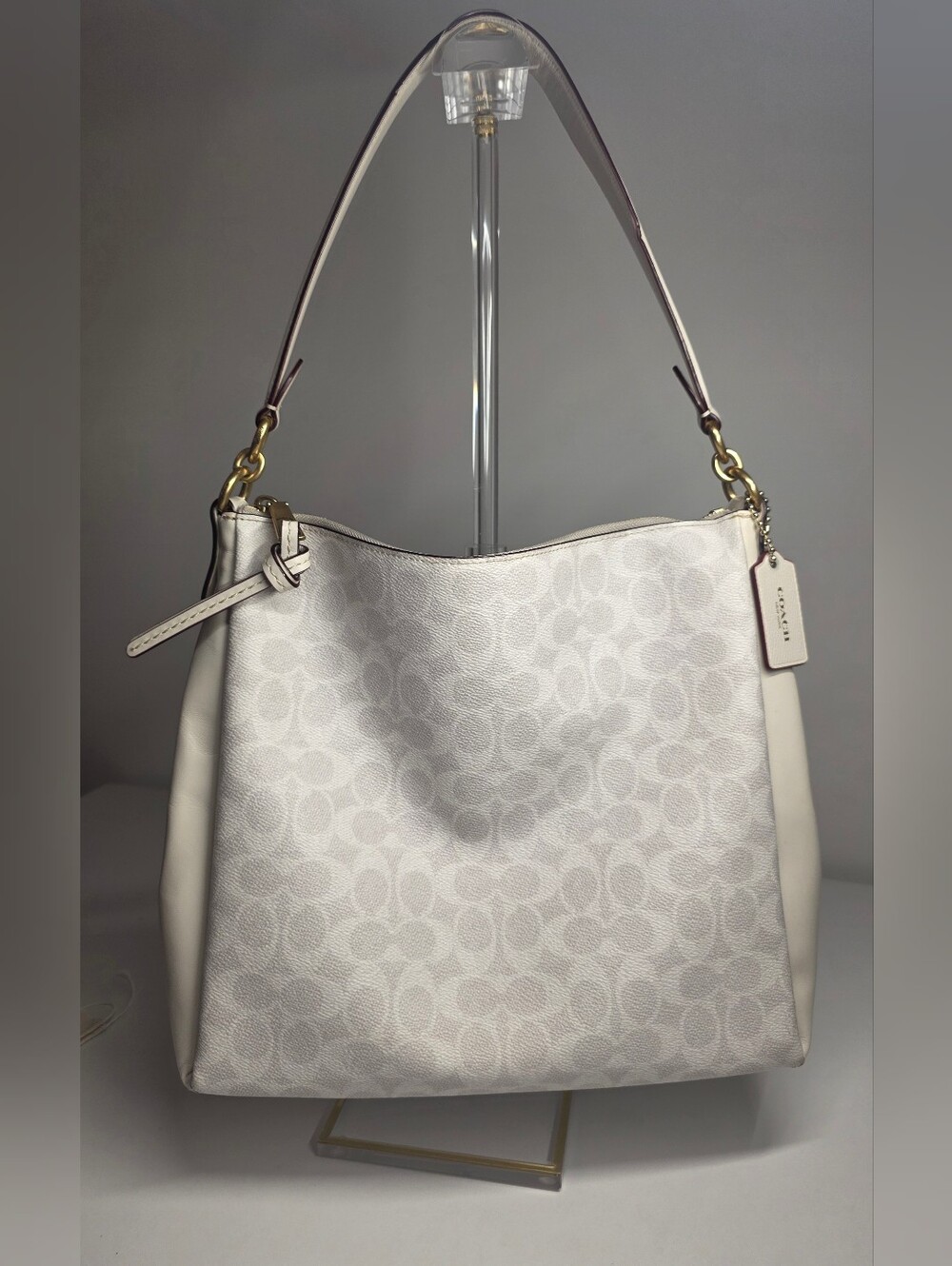 Coach Signature Canvas Hobo Bag in Chalk